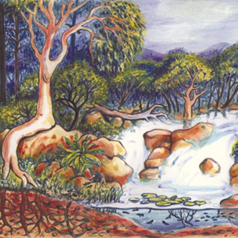 BIODIVERSITY BIODIVERSITY
